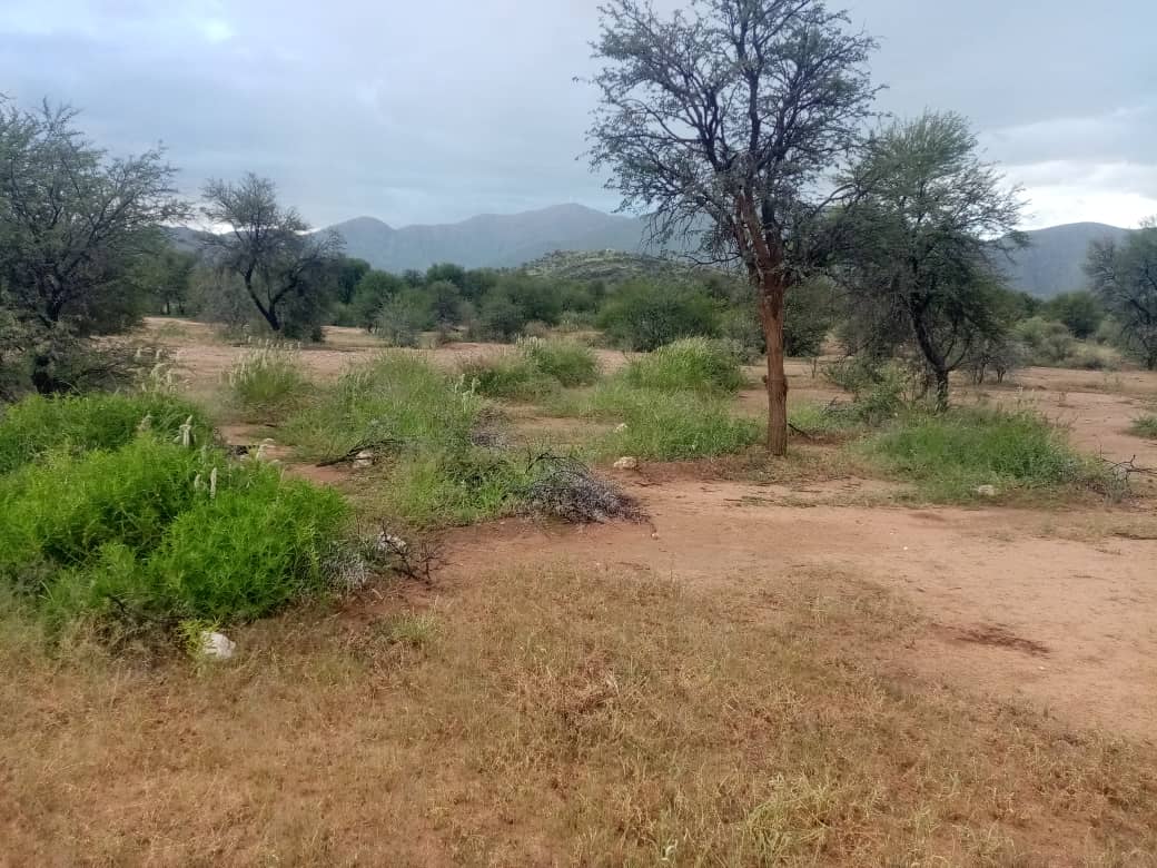 Demi lunes also known as: Half-moon basins, crescent dams, semilunar bunds, semi-circular bunds, crescent catchments, Zai pits, Tassa, planting pits, eyebrow swales, micro-catchment water harvesting structures, earth crescent structures, Vallerani system….and African Smiles 🙂…and Net & Pan…and Microdams…