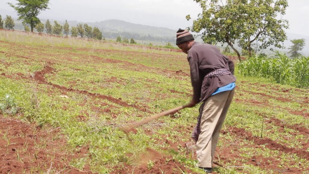 Contour Farming