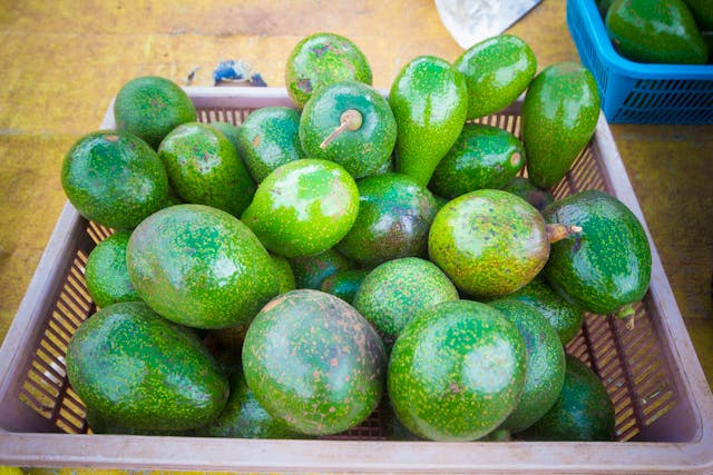 Avocados