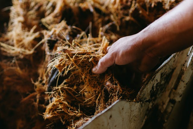 Biomass