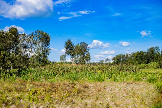 agroecology
