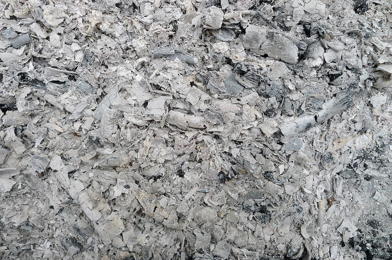 Grey wood ash and small charcoal fragments.
