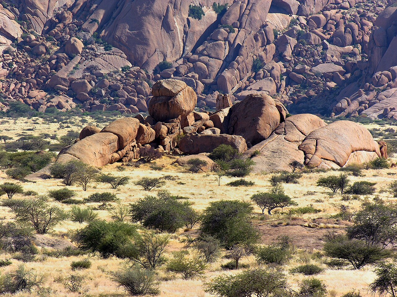 Rock outcrops and scattered vegetation at Spitzkoppe.