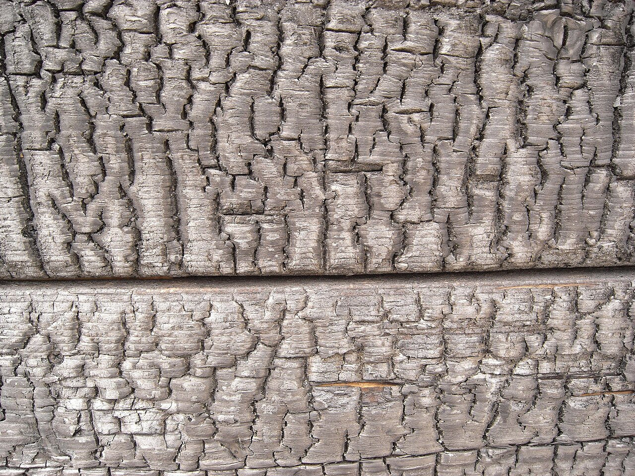 Close view of a charred timber surface with a cracked blackened texture.