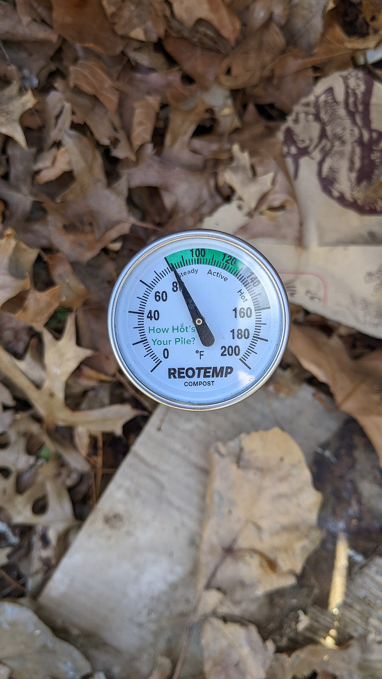 A dial thermometer inserted into a pile of leaves.