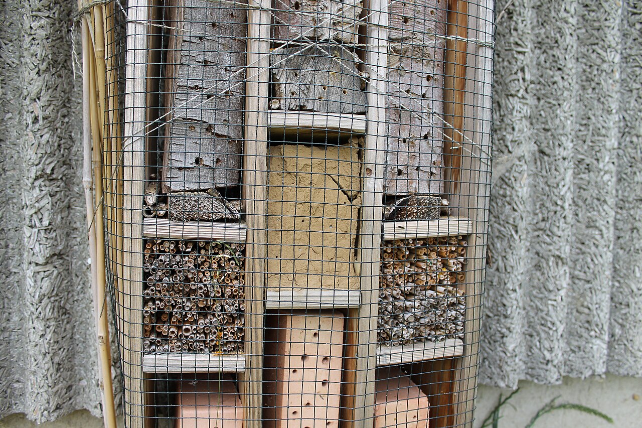 Insect hotel with several kinds of nesting material behind mesh.