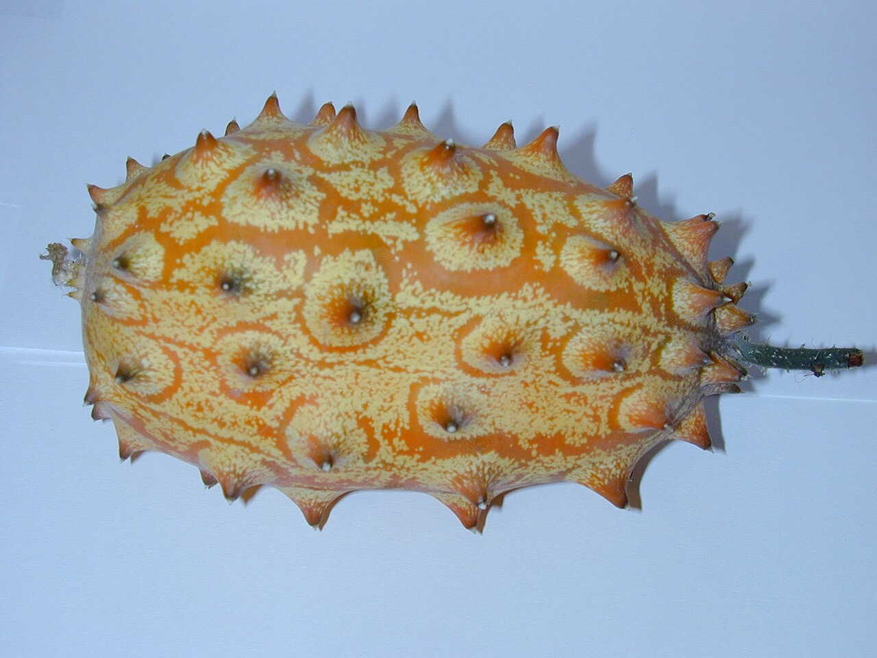 Yellow-orange horned melon fruit with prominent spines.