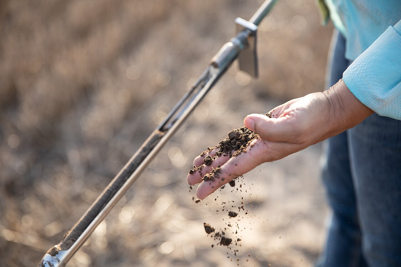 A person holding soil beside a sampling probe.