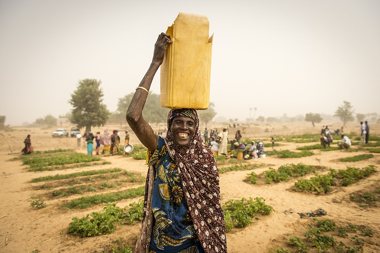 People working in a community garden in Niger.