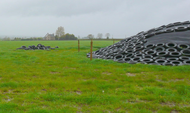 Silage clamp covered with sheeting held down by tyres